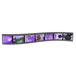 Photo Negatives Digitizing